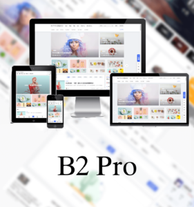 B2 PRO 主题5.4.2无需授权直装版-新疆木工