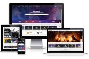 Ripro V5日主题 v7.1.3开心破解版下载-新疆木工